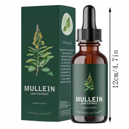 Mullein Leaf Extract