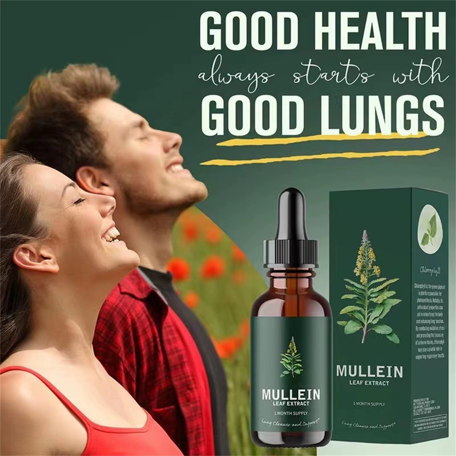 Mullein Leaf Extract