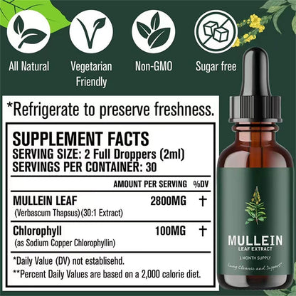 Mullein Leaf Extract